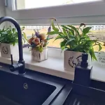 Apartmán Rya's Cozy *