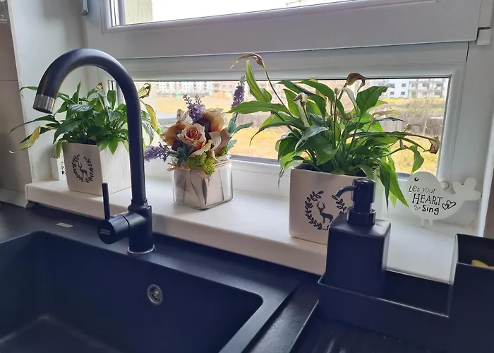 Apartament Rya's Cozy *